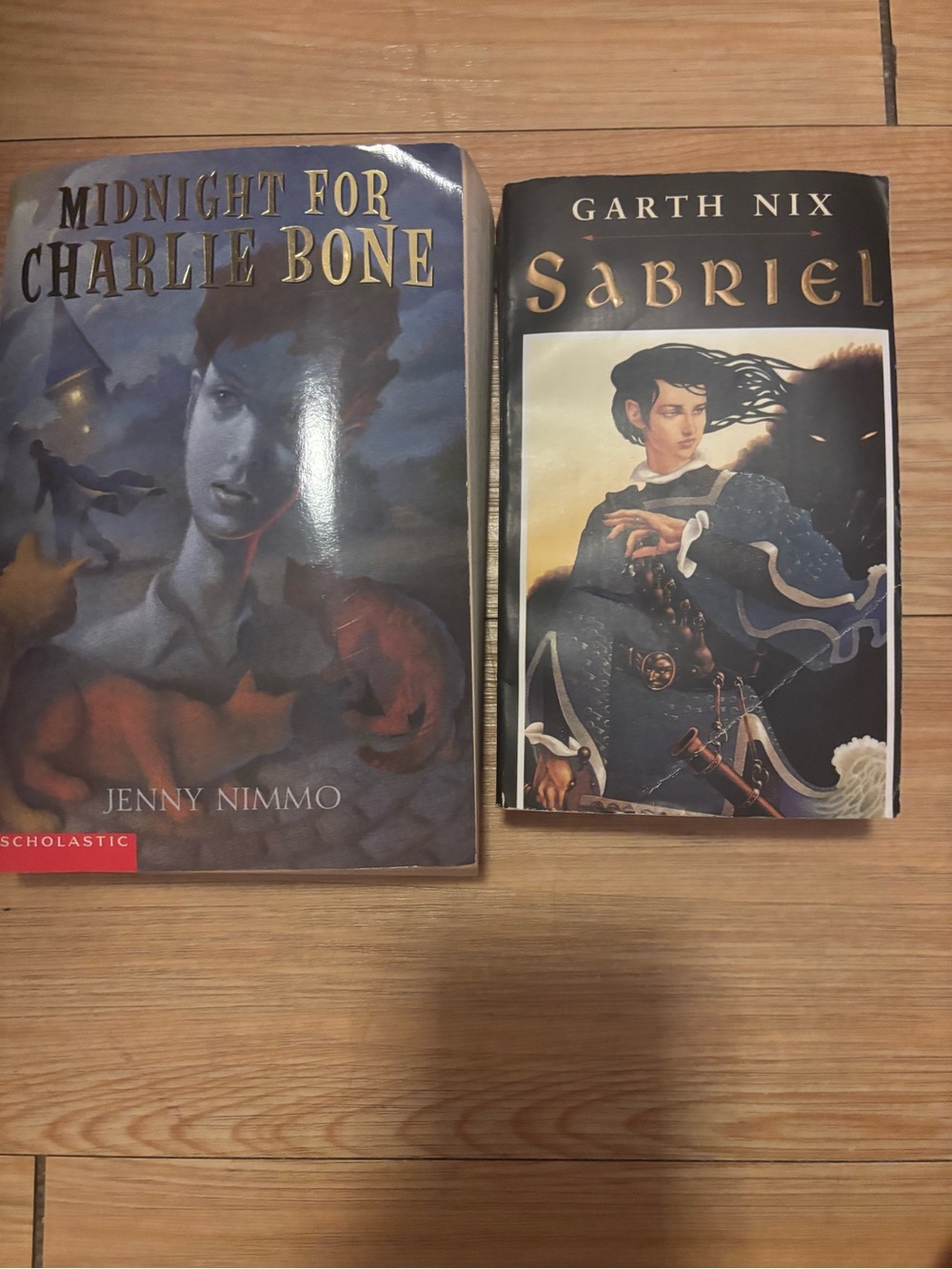 Midnight for Charlie Bone & Sabriel Hardcover Pair - Blue and Black books